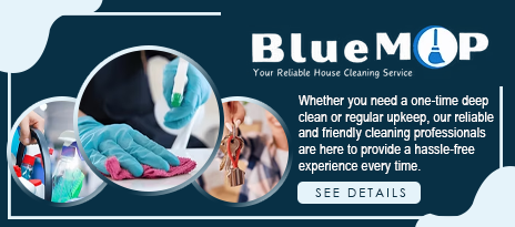 Blue Mop Cleaning Services