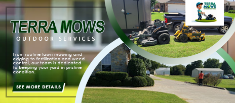 Terra Mows Outdoor Services